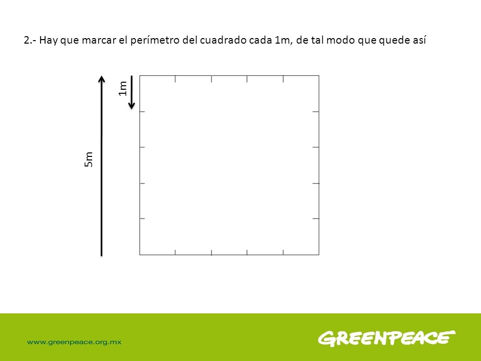 2.- Hay que marcar el perímetro del cuadrado cada 1m, de tal modo que quede así