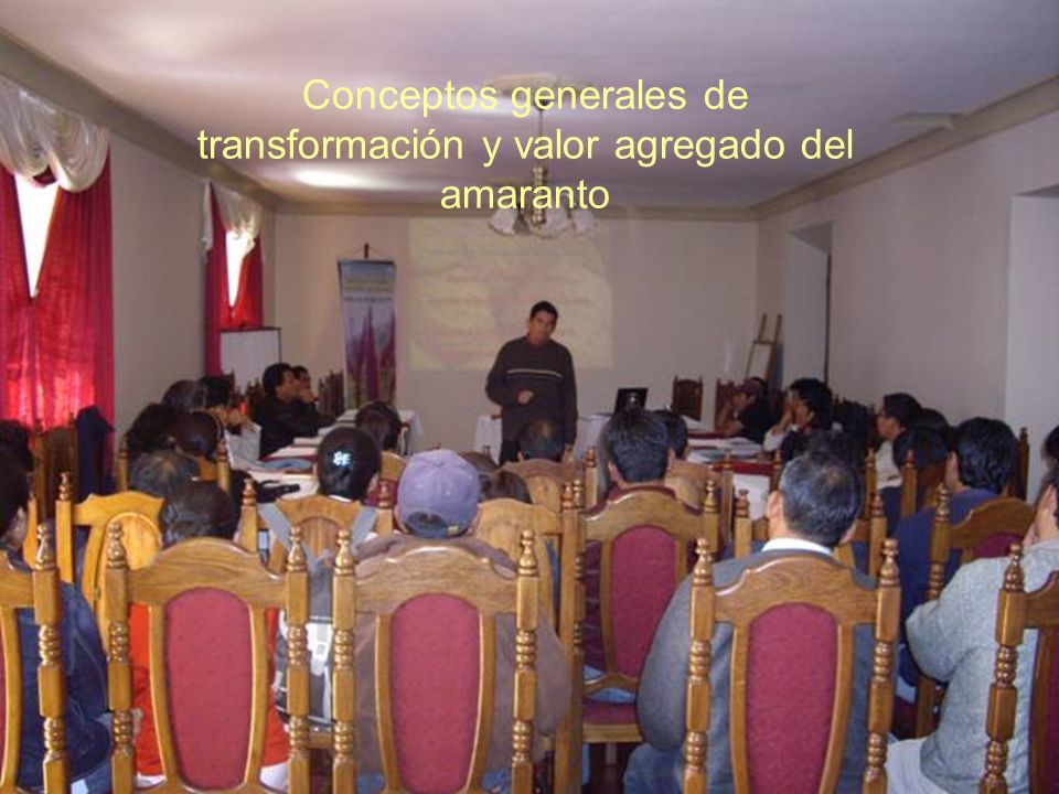 Conceptos generales de transformación y valor agregado del amaranto