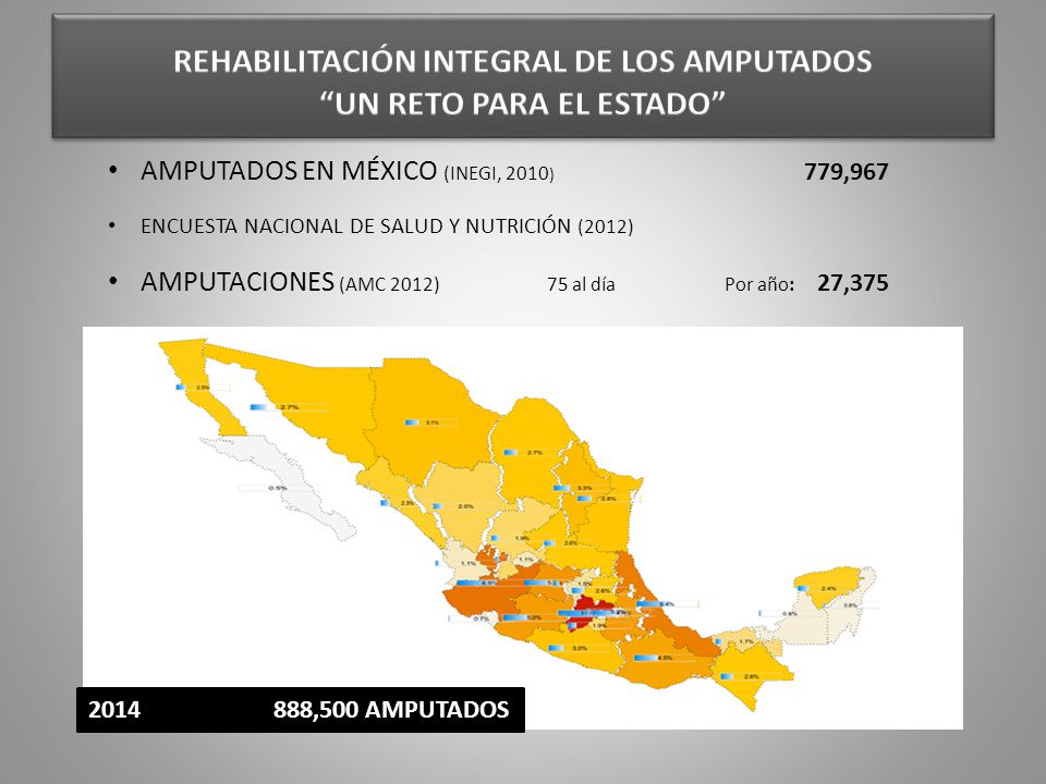 REHABILITACIÓN INTEGRAL DE LOS AMPUTADOS UN RETO PARA EL ESTADO