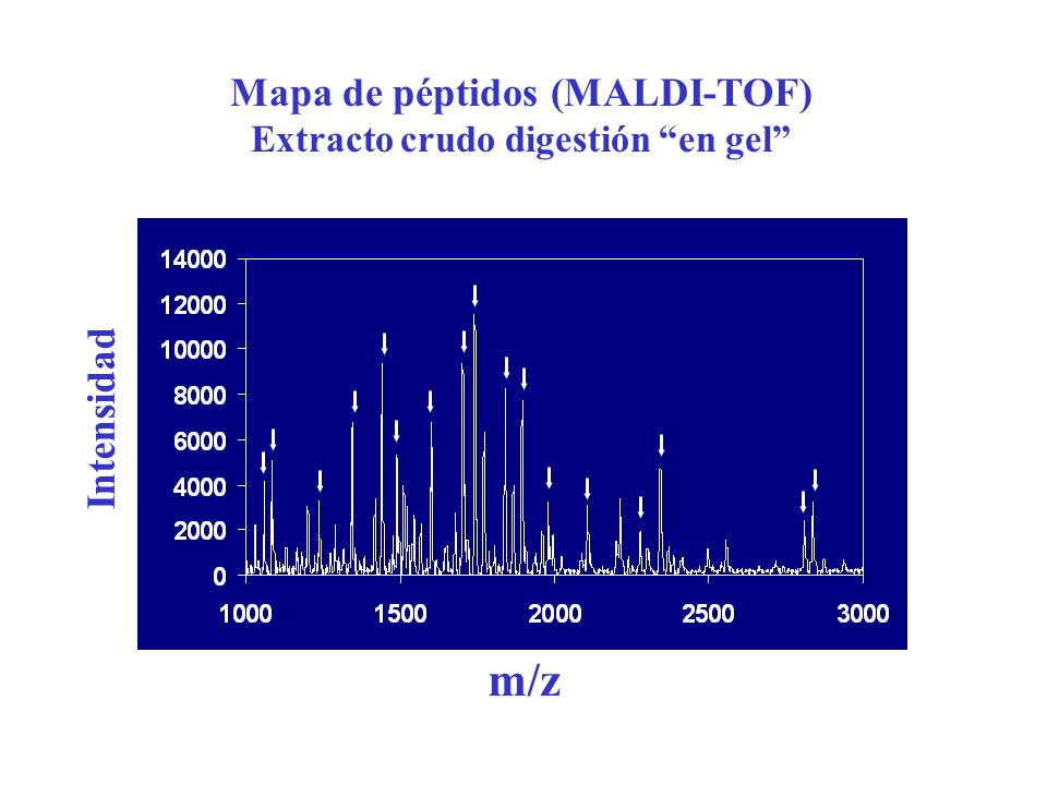 Mapa de péptidos (MALDI-TOF) Extracto crudo digestión en gel