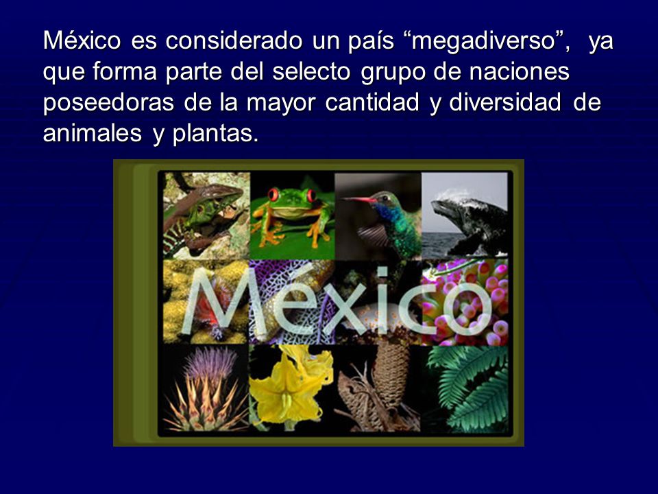 México es considerado un país megadiverso , ya que forma parte del selecto grupo de naciones poseedoras de la mayor cantidad y diversidad de animales y plantas.