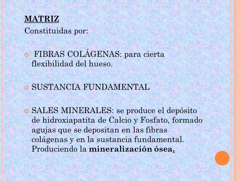 MATRIZ Constituidas por: FIBRAS COLÁGENAS: para cierta flexibilidad del hueso. SUSTANCIA FUNDAMENTAL.