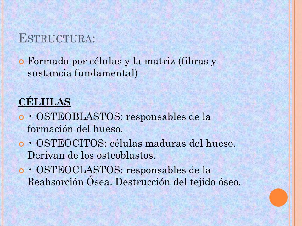 Estructura: Formado por células y la matriz (fibras y sustancia fundamental) CÉLULAS. • OSTEOBLASTOS: responsables de la formación del hueso.
