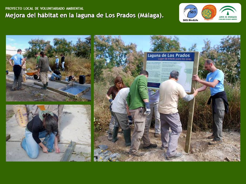 Mejora del hábitat en la laguna de Los Prados (Málaga).