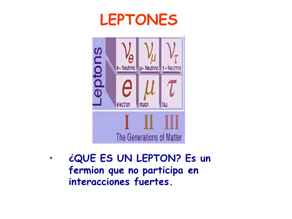 LEPTONES ¿QUE ES UN LEPTON Es un fermion que no participa en interacciones fuertes.