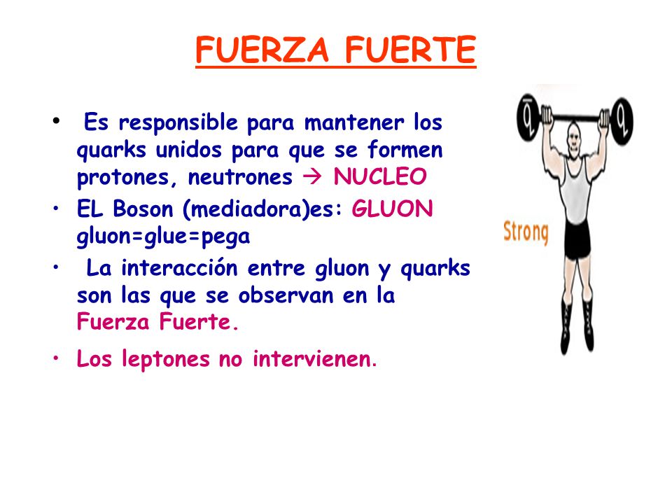 FUERZA FUERTE Es responsible para mantener los quarks unidos para que se formen protones, neutrones  NUCLEO.