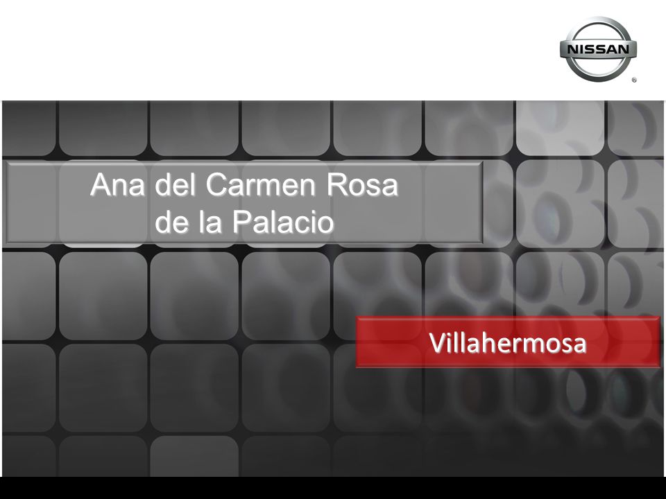 Ana del Carmen Rosa de la Palacio