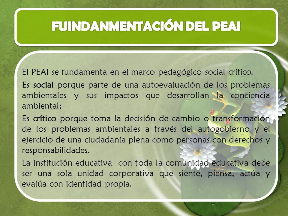 FUINDANMENTACIÓN DEL PEAI