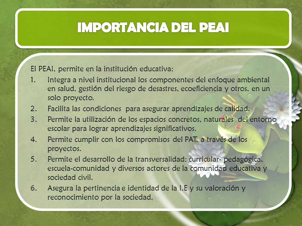 IMPORTANCIA DEL PEAI El PEAI, permite en la institución educativa: