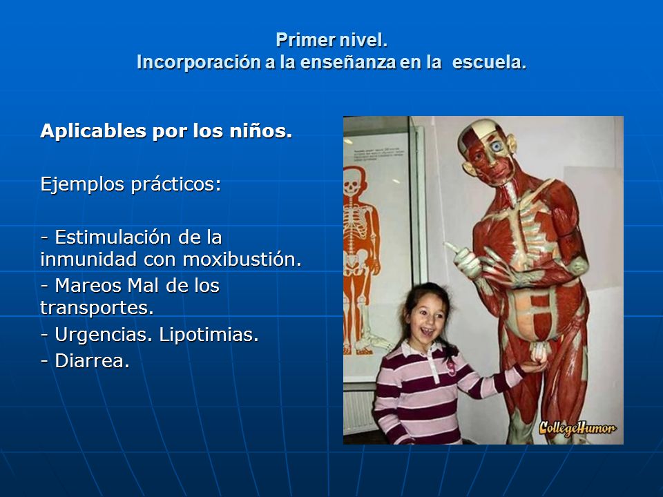 Primer nivel. Incorporación a la enseñanza en la escuela.