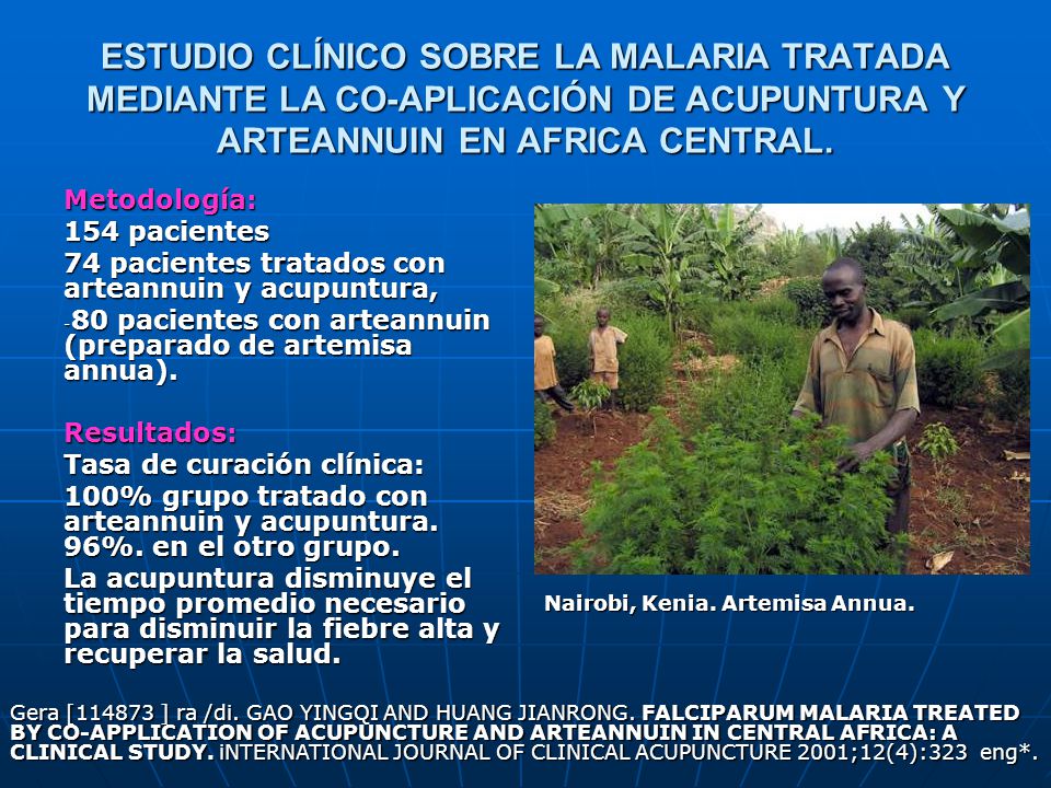 ESTUDIO CLÍNICO SOBRE LA MALARIA TRATADA MEDIANTE LA CO-APLICACIÓN DE ACUPUNTURA Y ARTEANNUIN EN AFRICA CENTRAL.