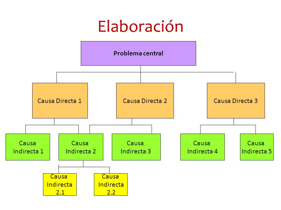 Elaboración Problema central Causa Directa 1 Causa Directa 2
