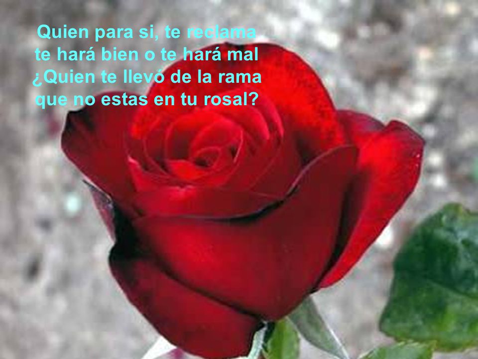 Quien para si, te reclama te hará bien o te hará mal