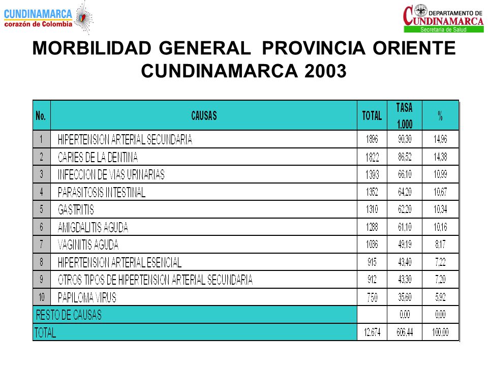MORBILIDAD GENERAL PROVINCIA ORIENTE CUNDINAMARCA 2003
