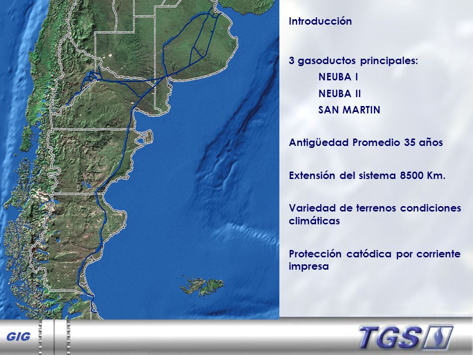 Introducción 3 gasoductos principales: NEUBA I. NEUBA II. SAN MARTIN. Antigüedad Promedio 35 años.