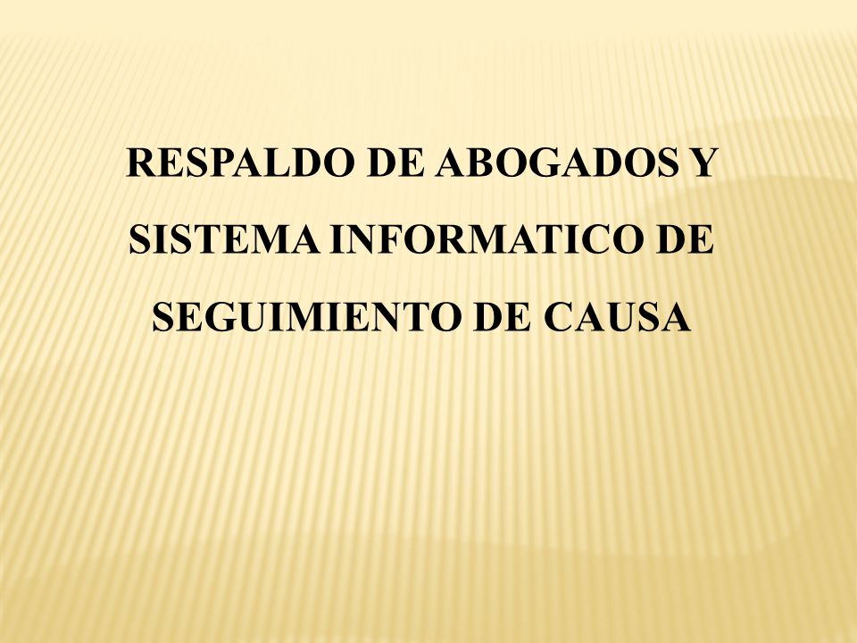 RESPALDO DE ABOGADOS Y SISTEMA INFORMATICO DE SEGUIMIENTO DE CAUSA