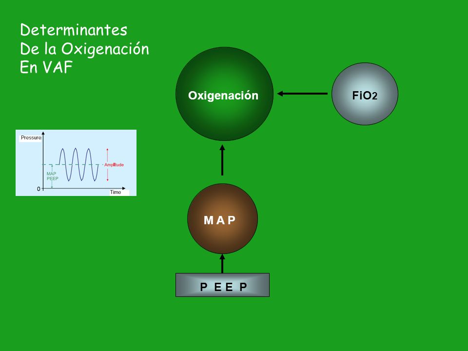 Determinantes De la Oxigenación En VAF Oxigenación FiO2 M A P P E E P