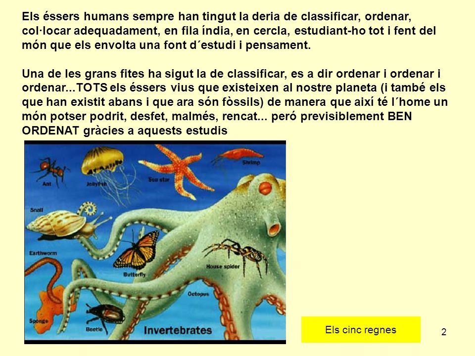 Els éssers humans sempre han tingut la deria de classificar, ordenar, col·locar adequadament, en fila índia, en cercla, estudiant-ho tot i fent del món que els envolta una font d´estudi i pensament.