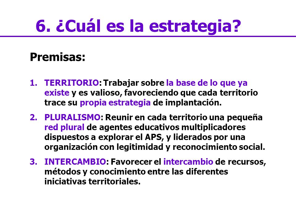 6. ¿Cuál es la estrategia Premisas: