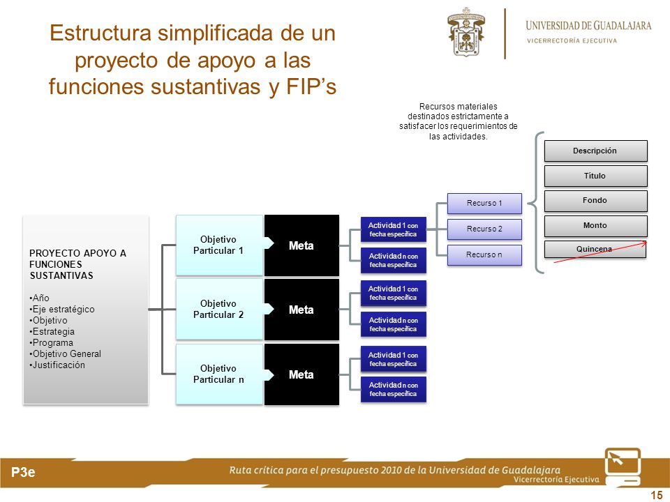 Estructura simplificada de un proyecto de apoyo a las funciones sustantivas y FIP’s
