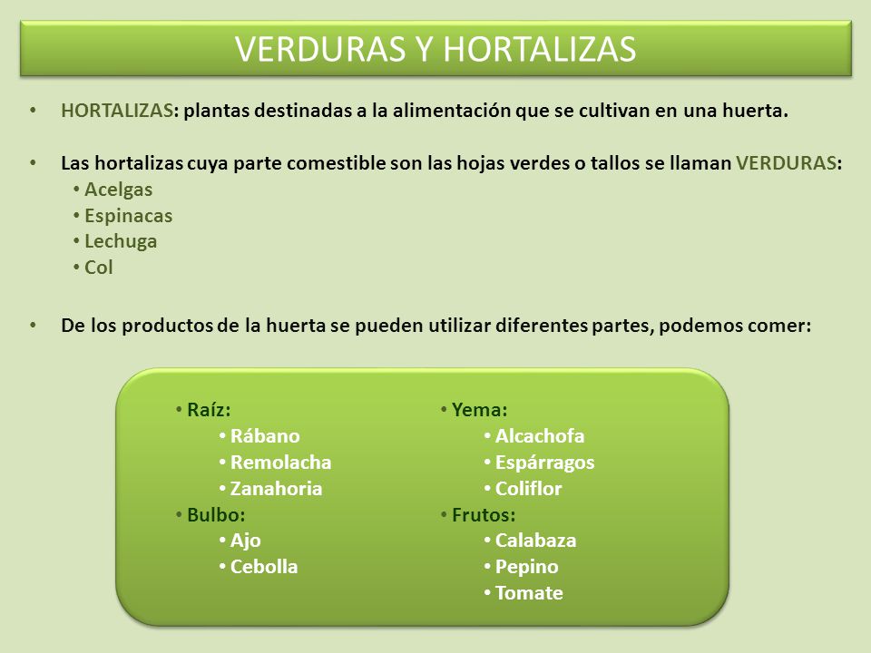 VERDURAS Y HORTALIZAS HORTALIZAS: plantas destinadas a la alimentación que se cultivan en una huerta.