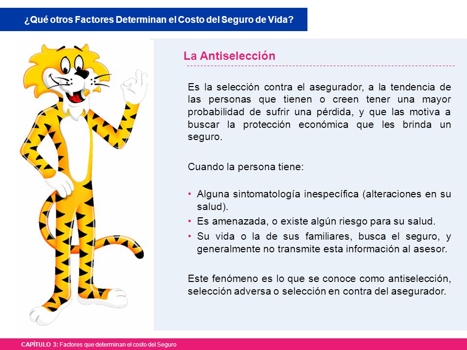 ¿Qué otros Factores Determinan el Costo del Seguro de Vida