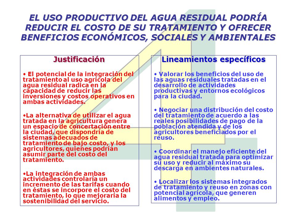 Lineamientos específicos