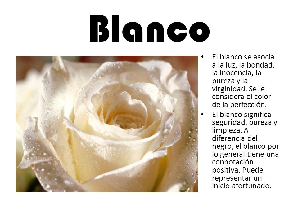 Blanco El blanco se asocia a la luz, la bondad, la inocencia, la pureza y la virginidad. Se le considera el color de la perfección.