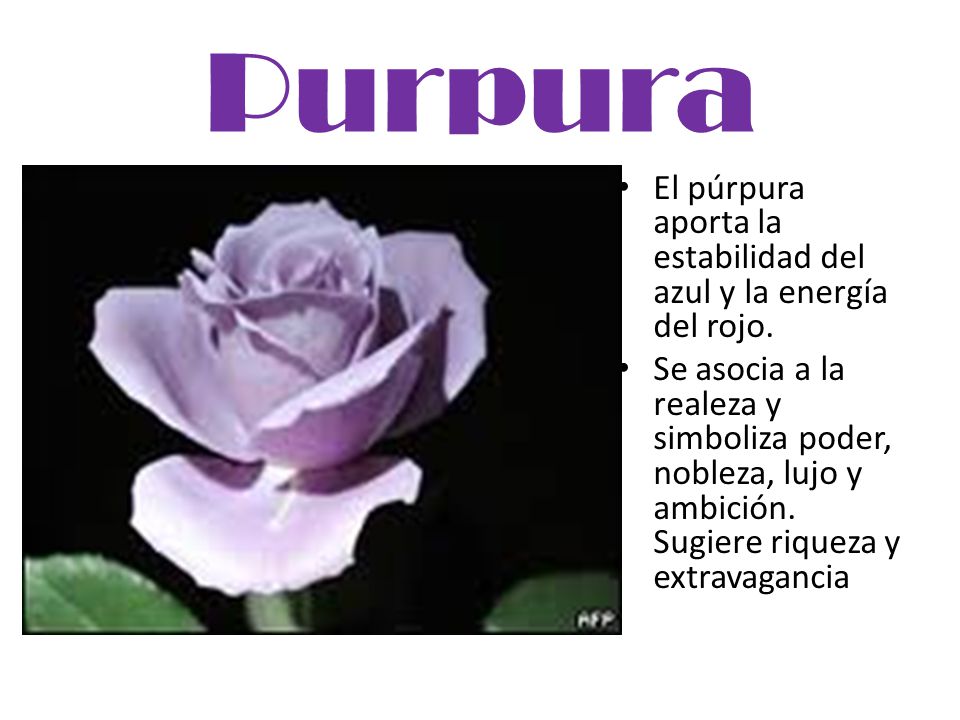 Purpura El púrpura aporta la estabilidad del azul y la energía del rojo.