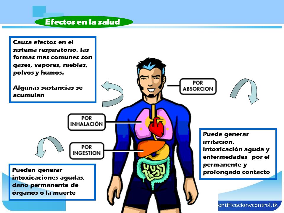 Efectos en la salud Causa efectos en el sistema respiratorio, las formas mas comunes son gases, vapores, nieblas, polvos y humos.