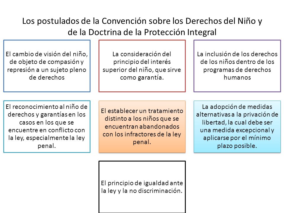El principio de igualdad ante la ley y la no discriminación.