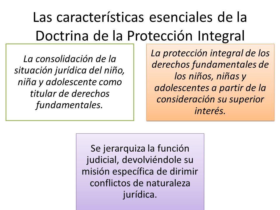 Las características esenciales de la Doctrina de la Protección Integral