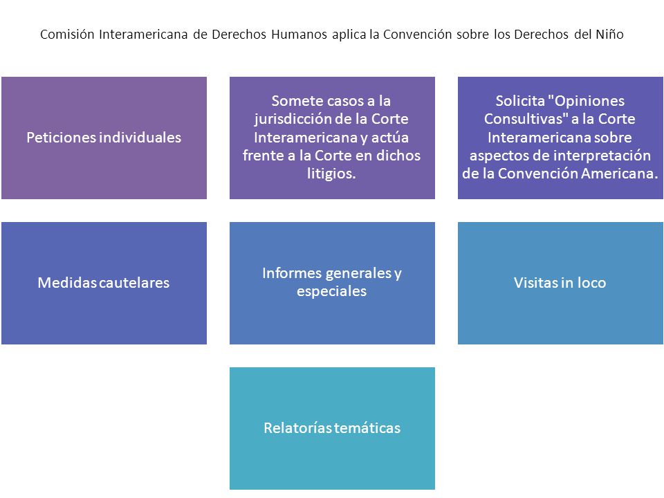 Comisión Interamericana de Derechos Humanos aplica la Convención sobre los Derechos del Niño