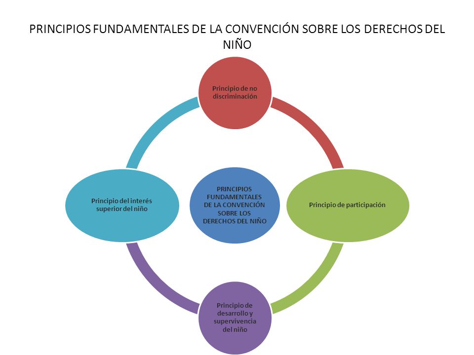 PRINCIPIOS FUNDAMENTALES DE LA CONVENCIÓN SOBRE LOS DERECHOS DEL NIÑO