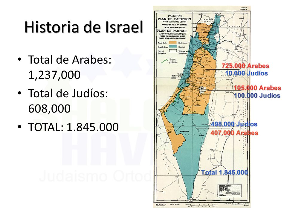 Historia de Israel Total de Arabes: 1,237,000 Total de Judíos: 608,000