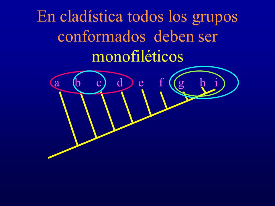 En cladística todos los grupos conformados deben ser monofiléticos