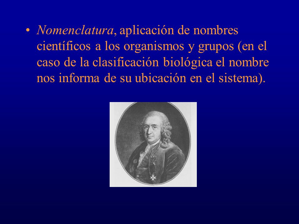 Nomenclatura, aplicación de nombres científicos a los organismos y grupos (en el caso de la clasificación biológica el nombre nos informa de su ubicación en el sistema).