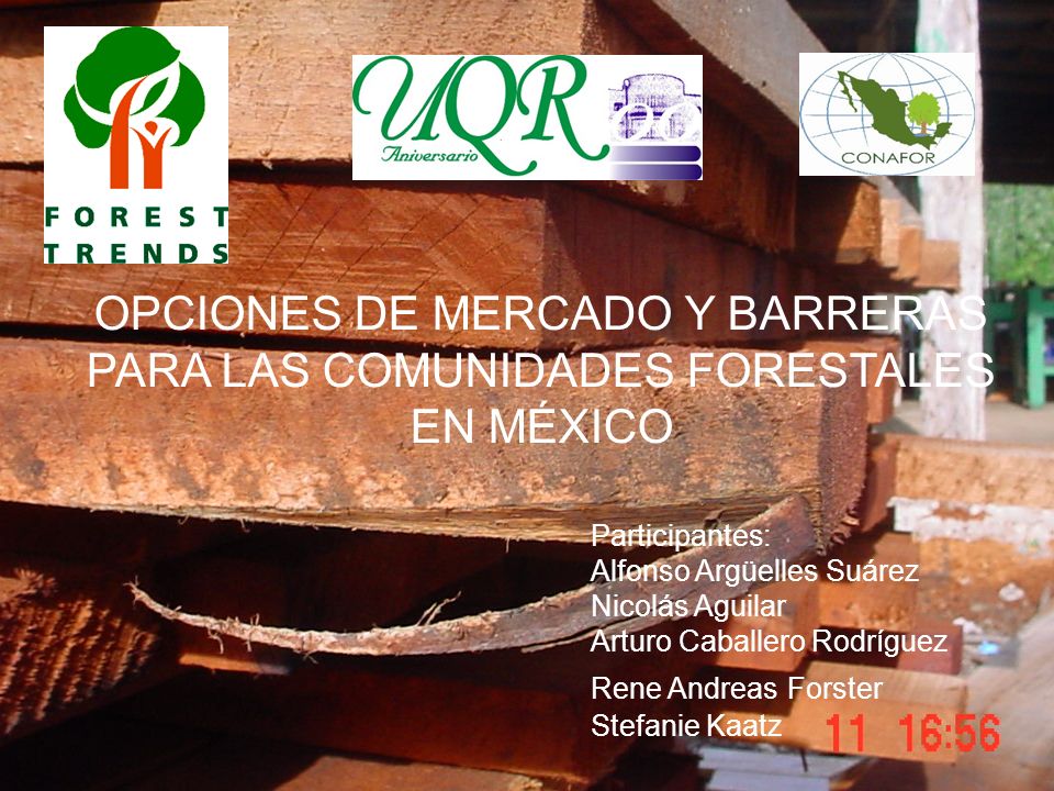 OPCIONES DE MERCADO Y BARRERAS PARA LAS COMUNIDADES FORESTALES EN MÉXICO