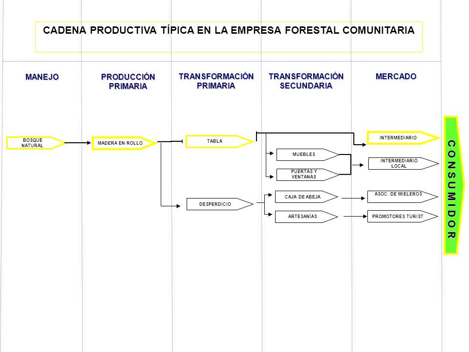 CADENA PRODUCTIVA TÍPICA EN LA EMPRESA FORESTAL COMUNITARIA