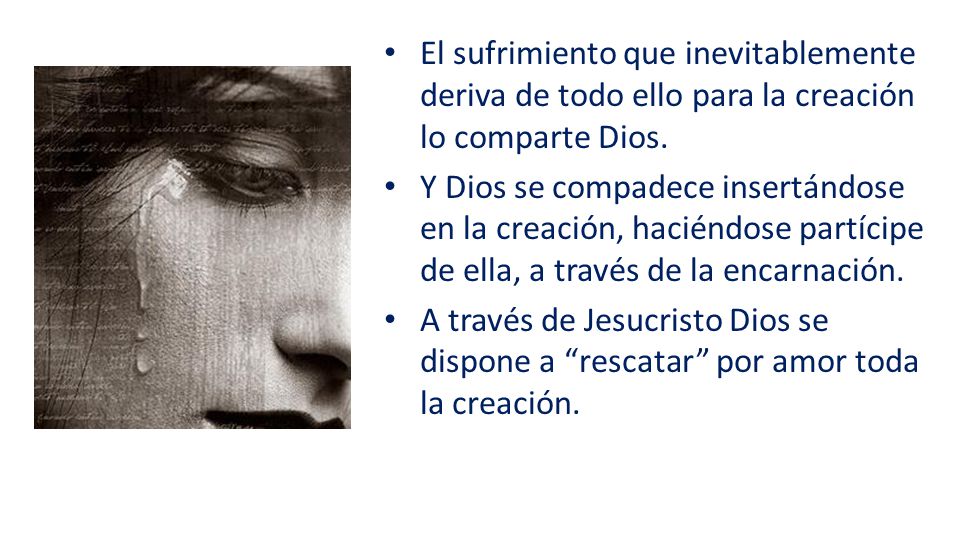 El sufrimiento que inevitablemente deriva de todo ello para la creación lo comparte Dios.