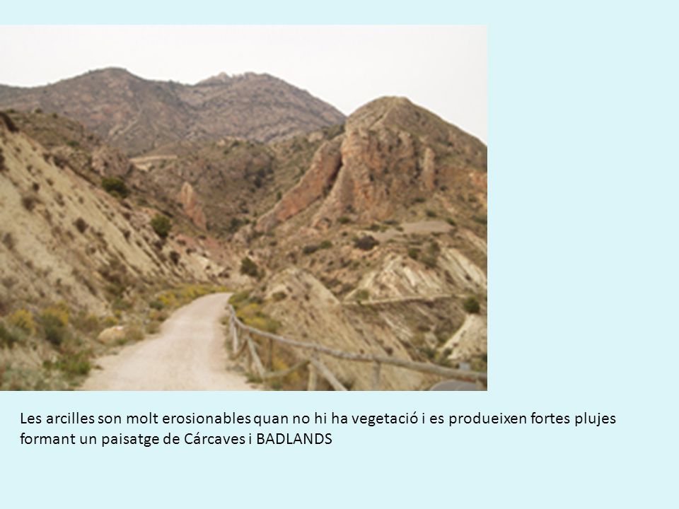 Les arcilles son molt erosionables quan no hi ha vegetació i es produeixen fortes plujes formant un paisatge de Cárcaves i BADLANDS