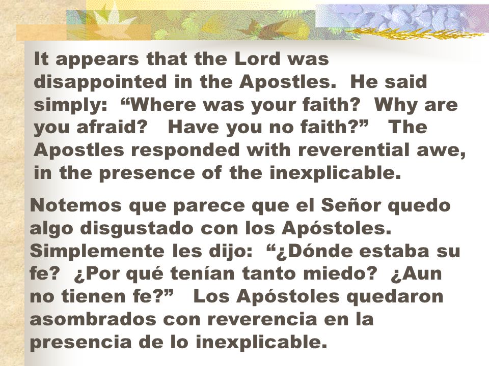 It appears that the Lord was disappointed in the Apostles