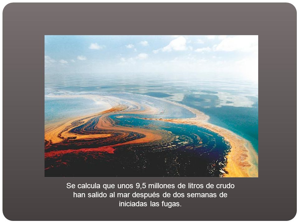 Se calcula que unos 9,5 millones de litros de crudo han salido al mar después de dos semanas de