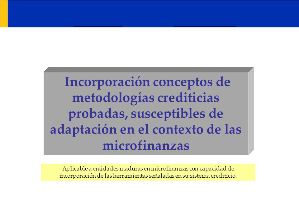 Incorporación conceptos de metodologías crediticias probadas, susceptibles de adaptación en el contexto de las microfinanzas