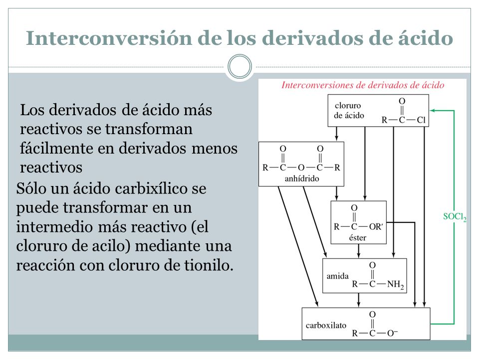 Interconversión de los derivados de ácido