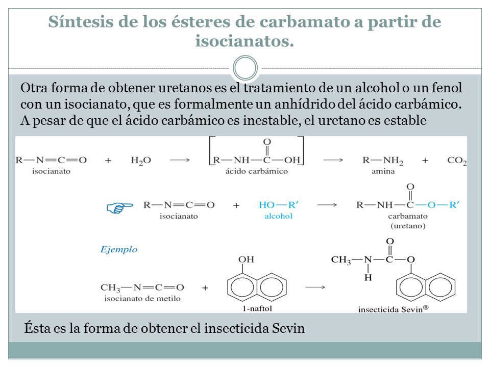 Síntesis de los ésteres de carbamato a partir de isocianatos.