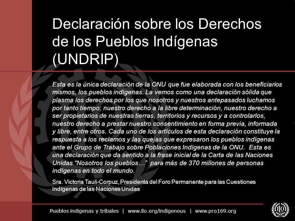 Declaración sobre los Derechos de los Pueblos Indígenas (UNDRIP)