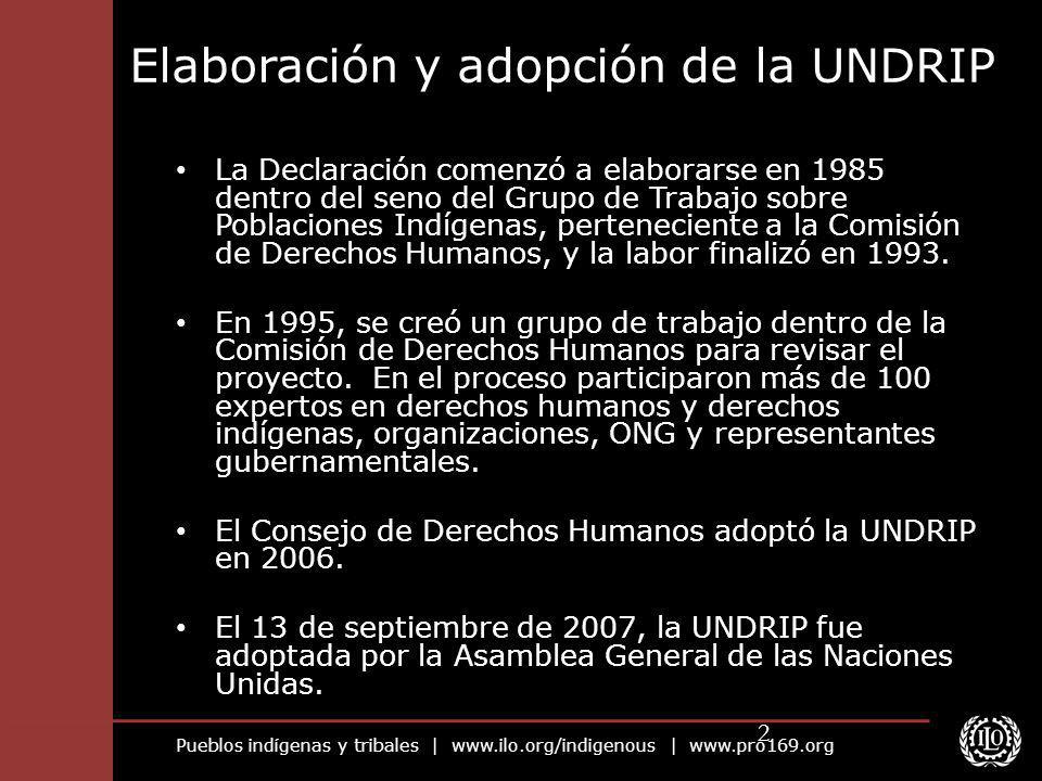 Elaboración y adopción de la UNDRIP