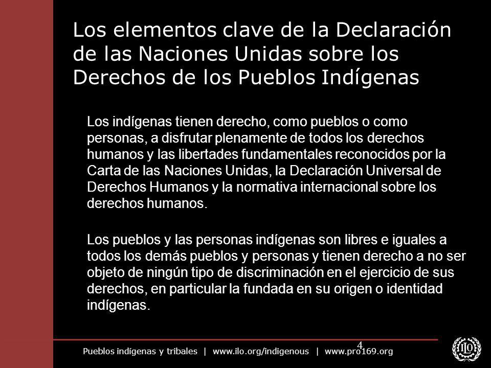 Los elementos clave de la Declaración de las Naciones Unidas sobre los Derechos de los Pueblos Indígenas