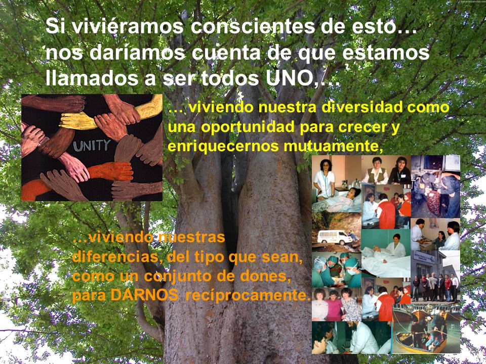 Si viviéramos conscientes de esto… nos daríamos cuenta de que estamos llamados a ser todos UNO,…